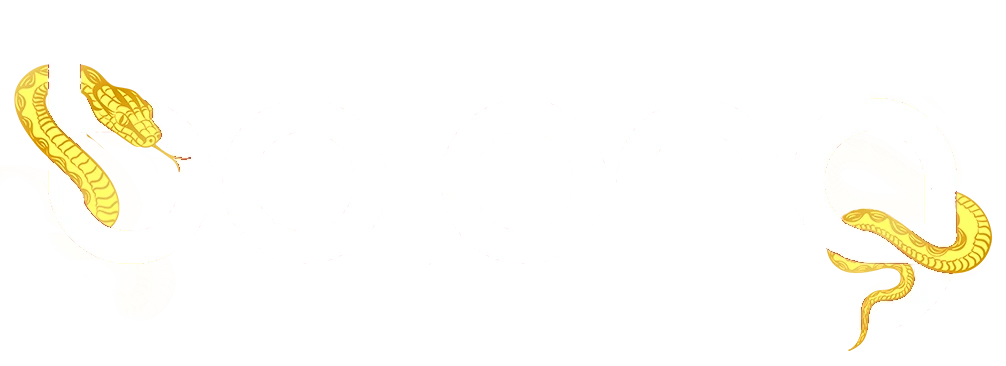 Bolongid Logo Putih